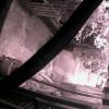 78A5DD00BB7C(garagecam) 1 20161223125519 278